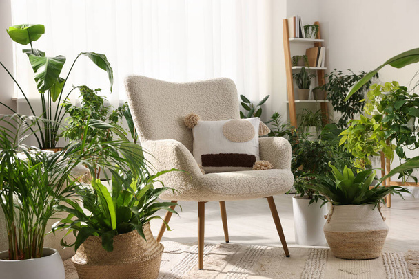 Relaxing atmosphere. Many different potted houseplants around stylish armchair in room - 写真・画像
