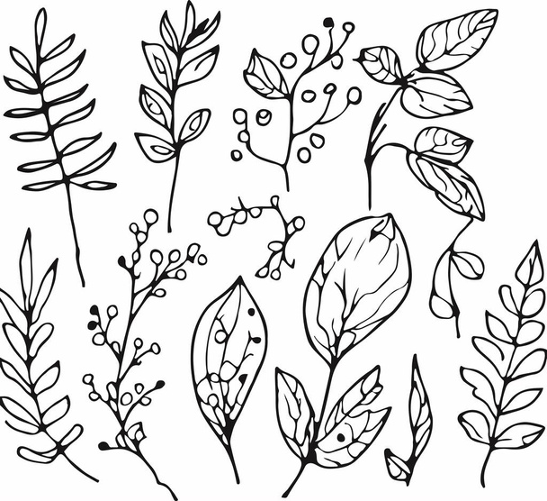 Breathtaking hand drawn line forest flora vector. Vector illustration - Vector, imagen