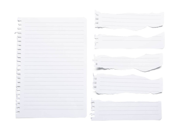 Kousky poznámkového bloku papírové listy izolované na bílém pozadí - Fotografie, Obrázek
