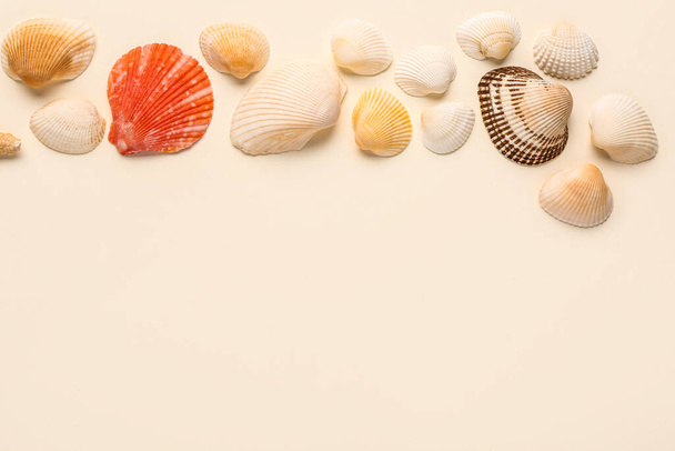 Beautiful seashells on beige background - Zdjęcie, obraz