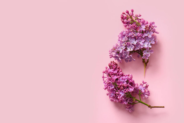 Flores de color lila en flor sobre fondo rosa - Foto, imagen