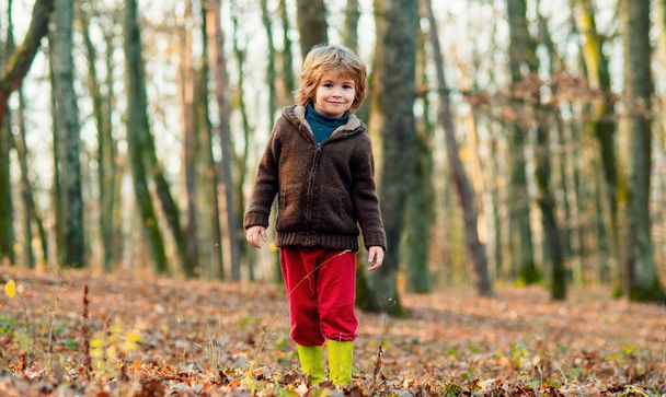 Little boy in leaves in autumn clothing. Happy kid having fun in autumn park on warm day - Fotó, kép