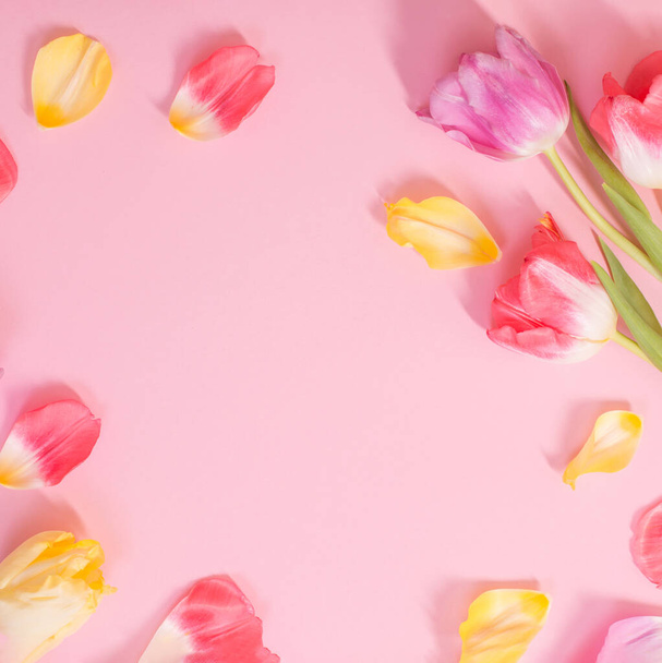 spring flowers on pink background - Zdjęcie, obraz