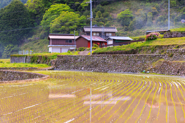 Überflutete Reisfelder durch alte Steinmauern und Haus in terrassenförmiger Landschaft. Hochwertiges Foto - Foto, Bild