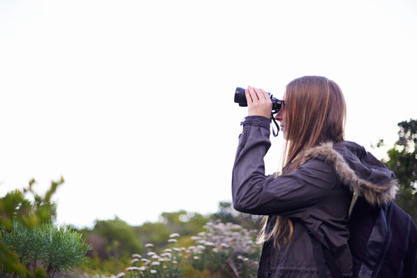 Обыскивая небо и пейзажи. привлекательная молодая женщина смотрит в бинокль во время похода - Фото, изображение