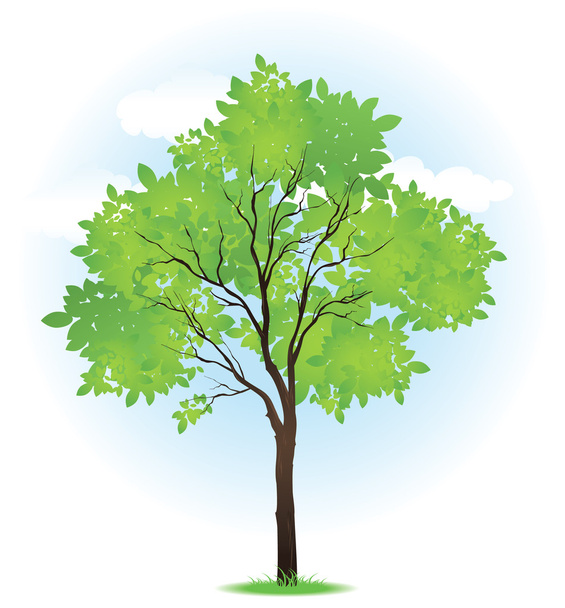 zelené letní strom - Vektor, obrázek