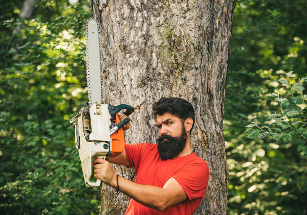 Harvest of timber. Agriculture and forestry theme. Woodworkers lumberjack. Illegal logging continues today. Logging. Lumberjack on serious face carries chainsaw - Photo, image