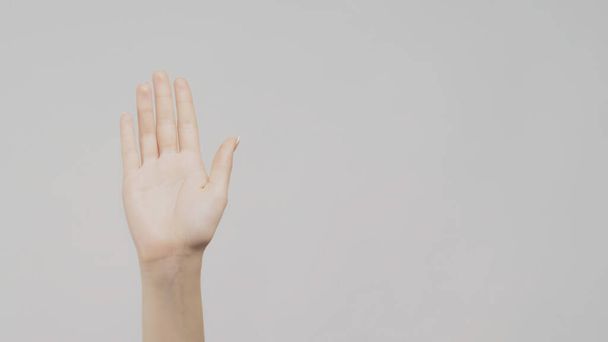 Hello gesture. Greeting sign. Female hand hand on light copy space background. - 写真・画像