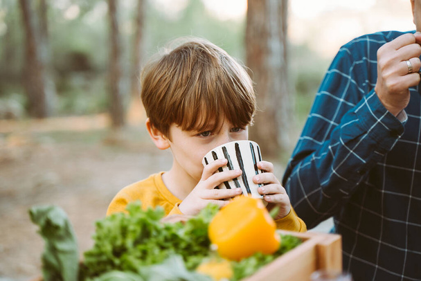 Батько тато і школяр хлопчик дитина, що має пікнік у лісовому кемпінгу з овочами, соком, кавою та круасанами. Дерев'яний ящик зі свіжими органічними овочами в оточенні хлібних багетів
 - Фото, зображення