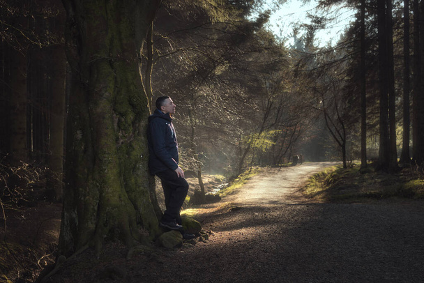 Mężczyzna odpoczywający przy drzewie w lesie, światło słoneczne świecące na ścieżce. Park Krajobrazowy Beecraigs, West Lothian, Szkocja - Zdjęcie, obraz