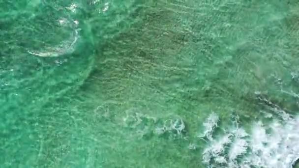 Punta Prosciutto azuurblauw zeewater, kristalhelder water op het strand Punta Prosciutto, Italiaanse Malediven Puglia Italië. Punta Prosciutto in Apulië, een van de mooiste stranden van Italië. - Video