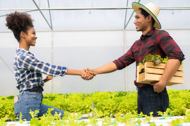 Молода красива фермерка тримає руки з молодим чоловіком на гідропоніці органічна овочева ферма закінчуючи торгівлею з рукостисканням Успішні концепції ведення рослинництва
 - Фото, зображення