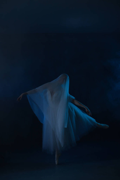 Profi balerina táncbalett. Balerina fehér ruhában és pointe cipőben. Sötét háttér, kék fény. Fátyol. Jelenet. Teljesítmény - Fotó, kép