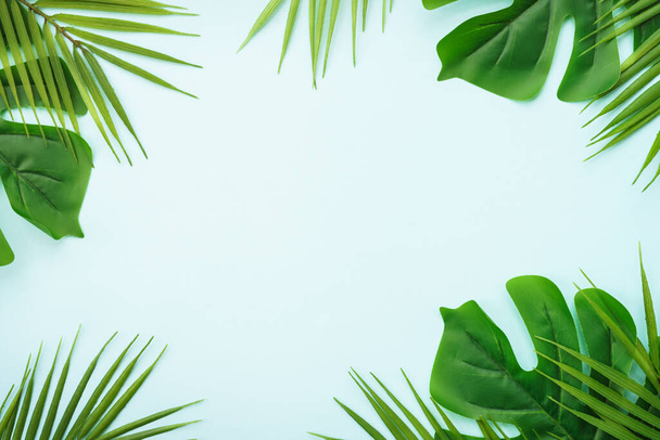 Summer flat lay background. Tropical leaves, palm leaves and monstera on blue background. - 写真・画像