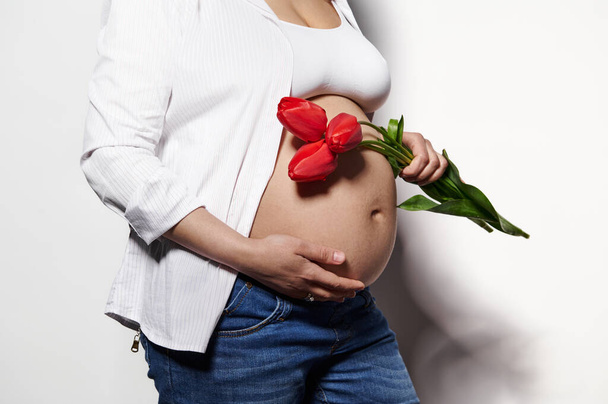 Zbliżenie brzucha ciężarnej z rozstępami ciężkiej kobiety, oczekująca matka pozująca z czerwonymi tulipanami na białym tle. Pozytywność ciała Zmysłowość Ciąża macierzyństwo. Szczęśliwego Dnia Matki - Zdjęcie, obraz