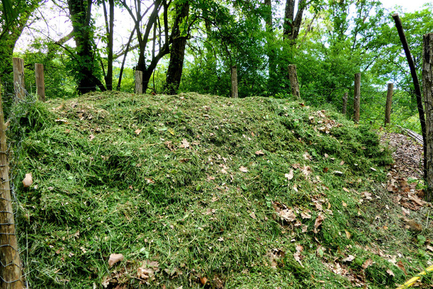 新鮮な草の切断は堆肥のヒープに先端 - 写真・画像