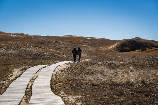 Ein Paar in der Ferne spaziert auf einem hölzernen Fußweg auf den Toten Dünen, oder Grauen Dünen, Kurische Nehrung, Neringa, Litauen. - Foto, Bild
