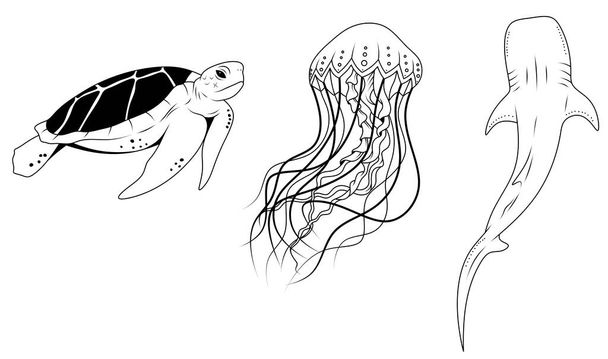 Sea creatures. Animals that live in the ocean. Turtle, jellyfish, shark. - Foto, Imagen