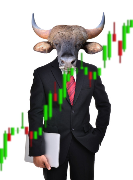 mercato del toro, concetto di investimento azionario
 - Foto, immagini
