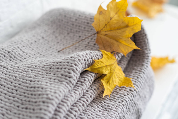 Осенняя композиция. теплый вязаный клетчатый, желтые листья на белом фоне. Осень, осенняя концепция. - Фото, изображение