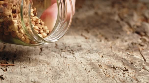 Kişniş tohumları Akdeniz kaynaklı bir baharat. - Video, Çekim