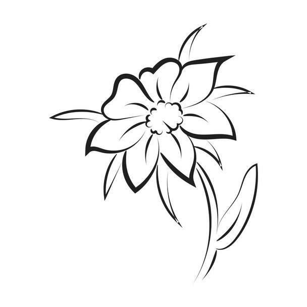 Simple Sketch with a flower and leave vector illustration outline hand drawn for print or use as poster, card, Tattoo or T Shirt - Vector, Image