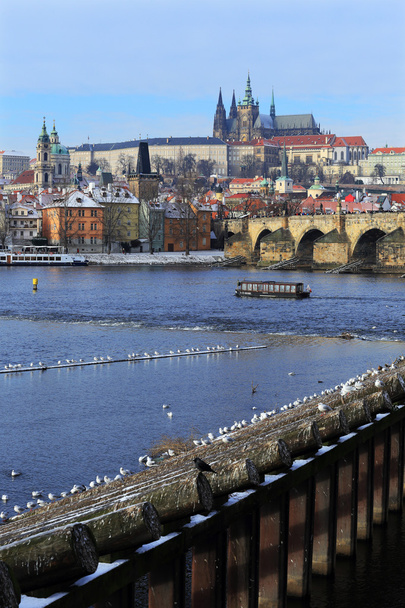 ilk kar şehirde Prag, Çek Cumhuriyeti - Fotoğraf, Görsel