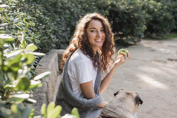 Usmívající se kudrnatá a brunetka žena v tričku a svetru drží čerstvé jablko a dívá se na kameru poblíž pug dog na kamenné lavičce v parku v Barceloně, Španělsko  - Fotografie, Obrázek