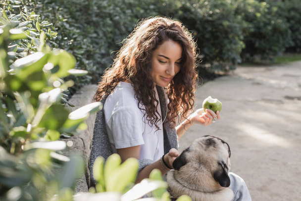 Smiling young and curly woman in t-shirt and sweater holding ripe apple and petting pug dog while sitting on stone bench near bushes in park in Barcelona, Spain  - Foto, afbeelding
