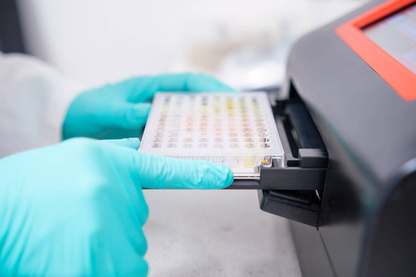 Για την εκτέλεση μικροβιολογικής ανάλυσης σε πολλαπλά δείγματα, ένας επιστήμονας εισάγει μια μικροπλάκα σε ένα φασματοφωτόμετρο μικροπλακετών για βιολογική ανάλυση. - Φωτογραφία, εικόνα