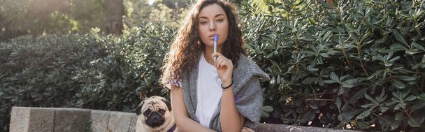 Curly and young woman in casual clothes holding marker near lips and looking at camera near pug dog sitting on stone bench near green bushes in park in Barcelona, Spain, banner  - Photo, Image