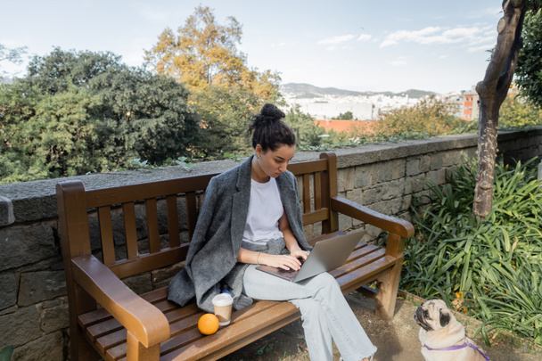 Young brunette freelancer in warm jacket working on laptop near coffee to go and fresh orange on wooden bench and pug dog sitting in park in Barcelona, Spain, during daytime  - Photo, Image