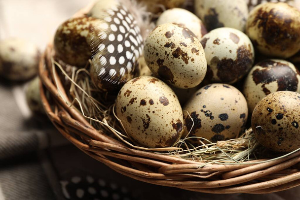 Nest with speckled quail eggs and feathers, closeup - Fotoğraf, Görsel