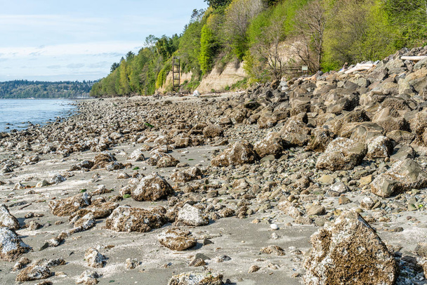 A view of the shoreline at Saltwater State Park in Des Moines, Washington. - Photo, Image