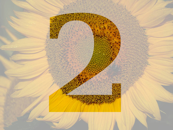 number 2 of the alphabet made with a yellow sunflower, transparent background - Foto, immagini