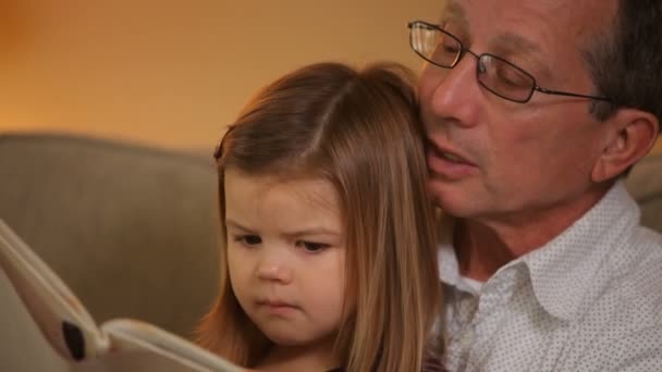 Grandfather reading book - Filmati, video