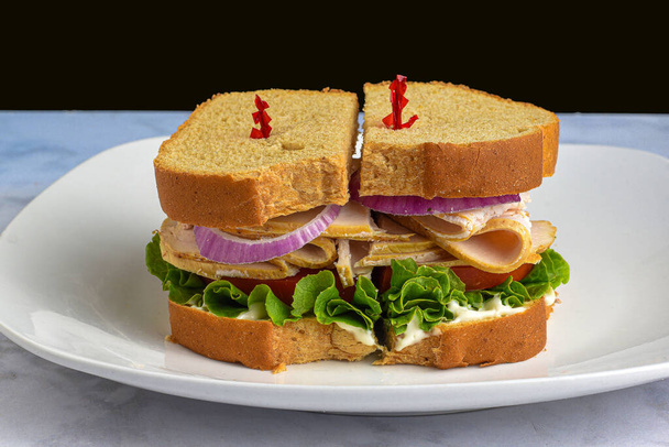 turkey sandwich with tomato and red onions - Foto, imagen