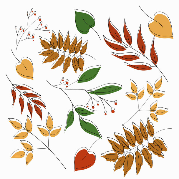 Autumn Leaves Background on White. Parfait pour les designs saisonniers et les projets à thème automnal. - Vecteur, image