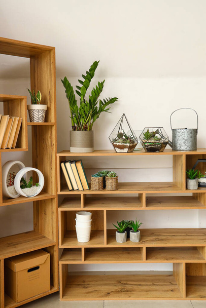 Boekenkast met floraria en kamerplanten in de buurt van lichtmuur - Foto, afbeelding