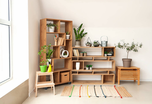 Interior of light room with bookcase, florariums and houseplants - Photo, Image