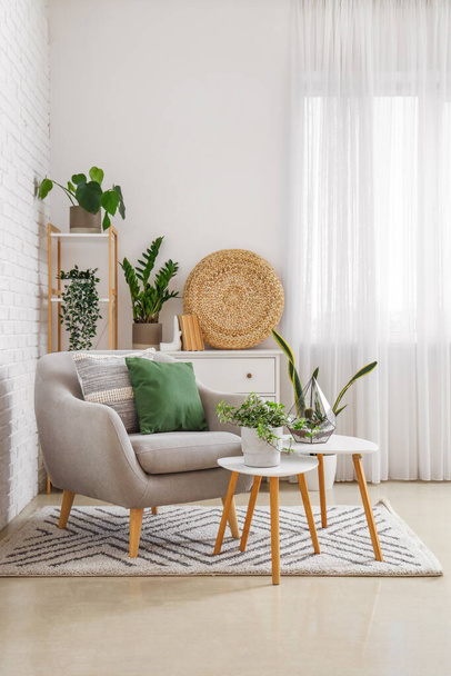 Gemütlicher grauer Sessel mit Kissen und Zimmerpflanzen auf Tischen im Innenraum eines hellen Wohnzimmers - Foto, Bild