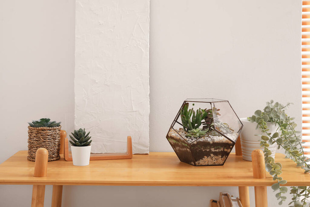 Florarium with plants on shelf near light wall - Photo, Image