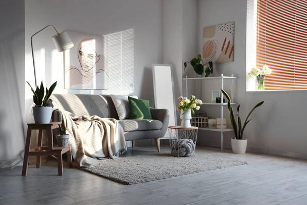 Interior of living room with grey sofa, shelving unit and houseplants - Photo, image