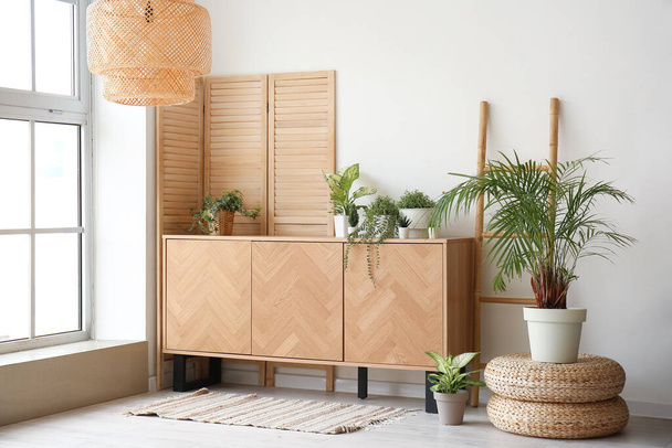 Stilvoller Holzschrank mit Zimmerpflanzen im Innenraum - Foto, Bild