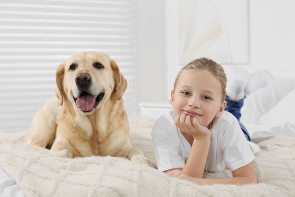 Cute child with her Labrador Retriever on bed at home. Adorable pet - Фото, изображение