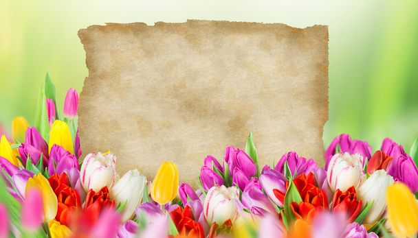 tulips with old blank paper - Фото, зображення