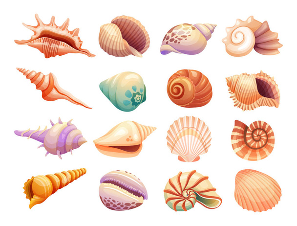 Various collections of seashells illustration isolated on a white background - Vektori, kuva
