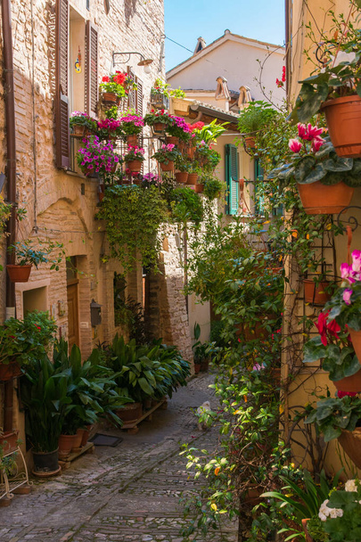 Romantic floral street in Spello, medieval town in Umbria, Italy - Foto, Imagen