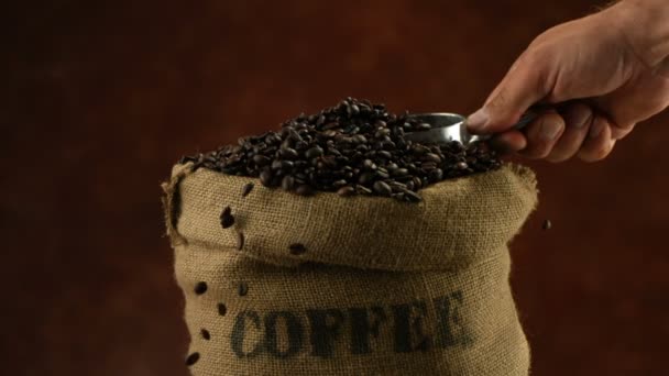 Hand scooping coffee beans - Imágenes, Vídeo