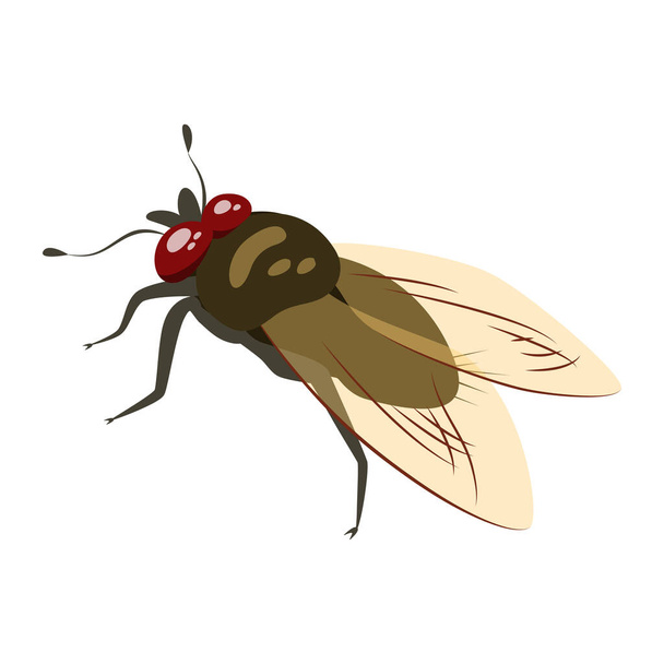 Insecto mosca doméstica. Ilustración plana de mosca vectorial aislada sobre fondo blanco. - Vector, imagen